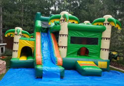 Amazon Jungle Combo with Water Slide and Pool